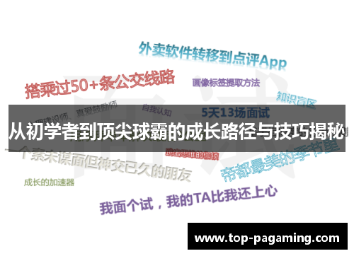 从初学者到顶尖球霸的成长路径与技巧揭秘