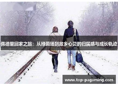 佩德里回家之旅：从绿茵场到故乡心灵的归属感与成长轨迹