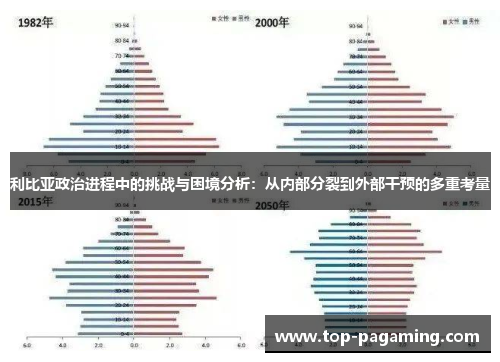 利比亚政治进程中的挑战与困境分析：从内部分裂到外部干预的多重考量