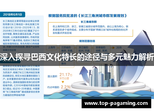 深入探寻巴西文化特长的途径与多元魅力解析