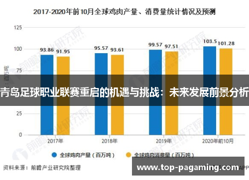 青岛足球职业联赛重启的机遇与挑战：未来发展前景分析