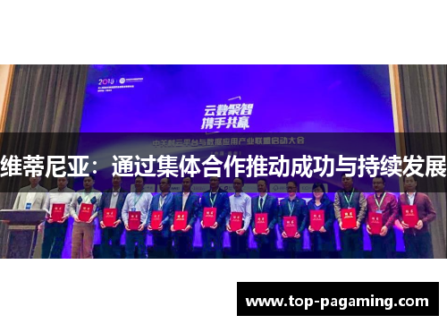 维蒂尼亚:通过集体合作推动成功与持续发展 维蒂尼亚:通过集体合作推动成功与持续发展