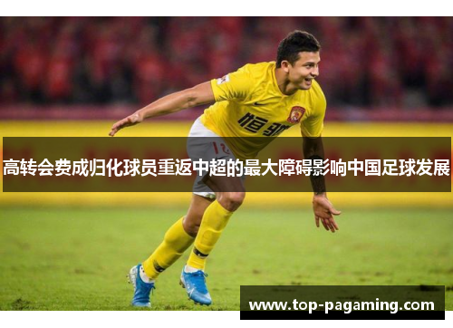 高转会费成归化球员重返中超的最大障碍影响中国足球发展