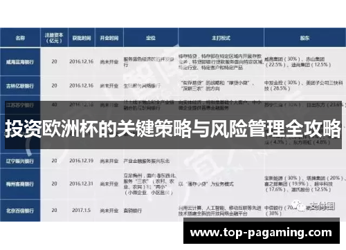 投资欧洲杯的关键策略与风险管理全攻略