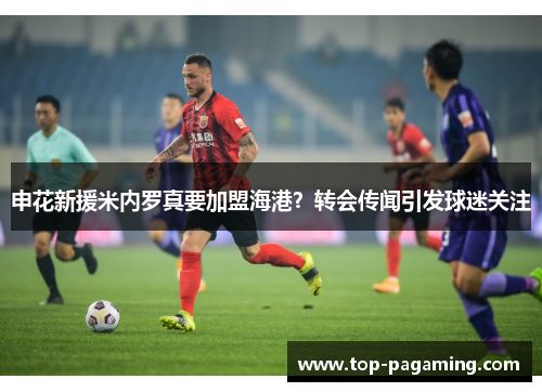 申花新援米内罗真要加盟海港？转会传闻引发球迷关注
